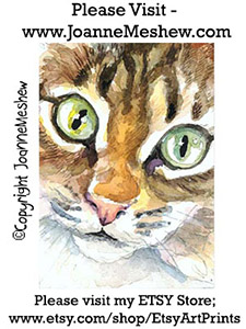 Tabby Maine Coon Cat Etsy Art Print Joanne Meshew 225 blogs