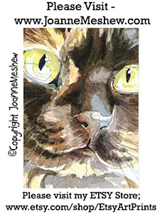 Tortishell Maine Coon Cat Etsy Art Print Joanne Meshew 225
